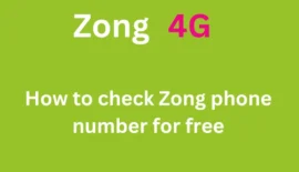 how to check zong number