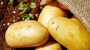 does potatoes have gluten