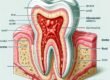 how-long-until-tooth-infection-kills-you